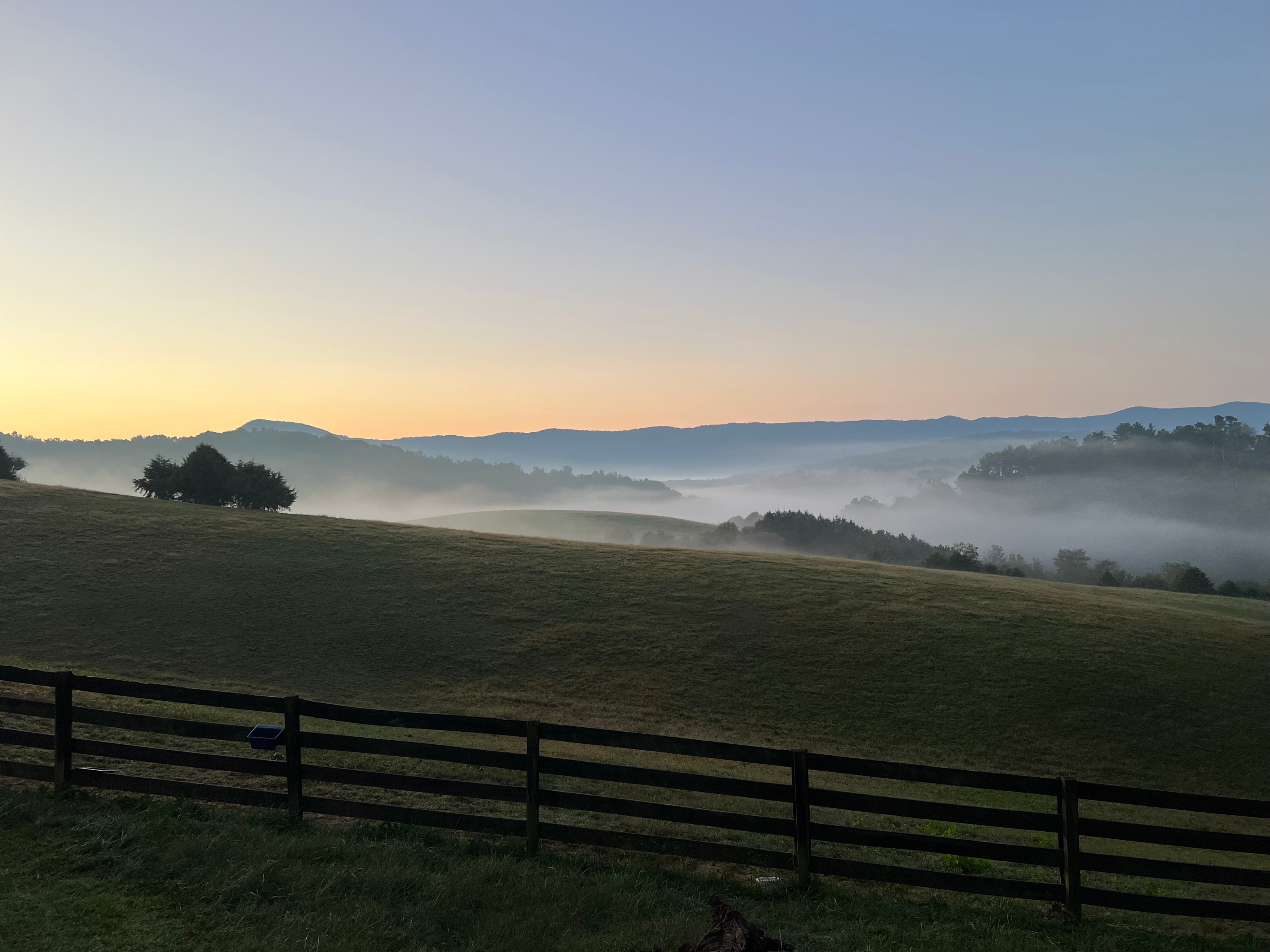 about us page medical cannabis educator